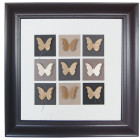 Cadre décoratif Papillons de Bruit de cadre