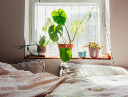 Un intérieur lumineux avec une grande baie vitrée, un lit, plusieurs plantes de tailles variées (monstera, ficus, pothos), un tapis texturé et des objets déco en matières naturelles (bois, osier).