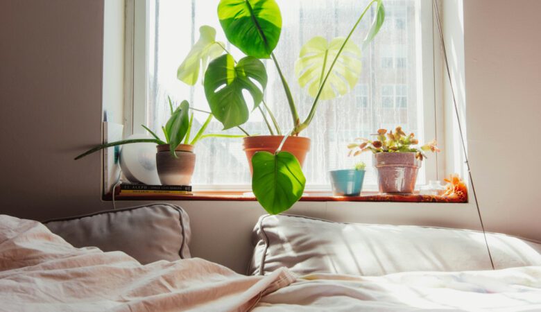 Un intérieur lumineux avec une grande baie vitrée, un lit, plusieurs plantes de tailles variées (monstera, ficus, pothos), un tapis texturé et des objets déco en matières naturelles (bois, osier).