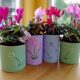 cache-pots faits maison : un bocal en verre habillé de ficelle, une boîte de conserve peinte couleur terracotta, un pot en tissu style denim