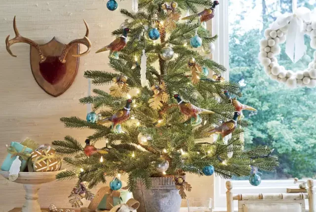 studio cosy avec un mini sapin sur une table