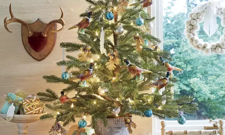 studio cosy avec un mini sapin sur une table